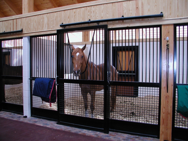 Classic Horse Stall Fronts With Divider Solid Back Wall U Channels