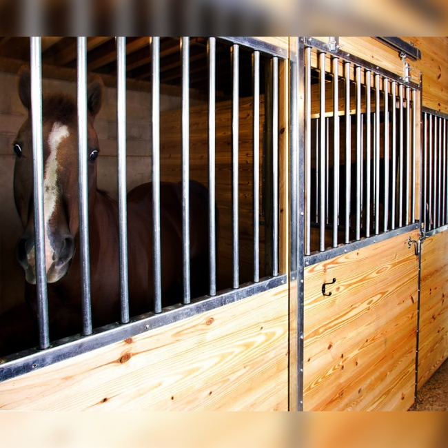 HDG / PC Finish Horse Stall Components , Easy Install Portable Stall Panels