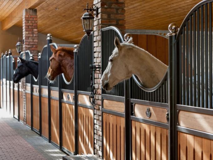 Self-contained Horse Stable Partitions For Prefab Horse Barns With