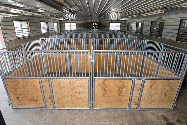 Standard Hot Dipped Galvanized Horse Boxes Horse Stable Panels