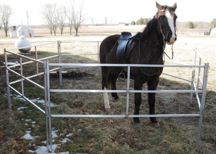 Extremely Long Lasting Horse Corral Panels Heavy Gauge Carbon Steel