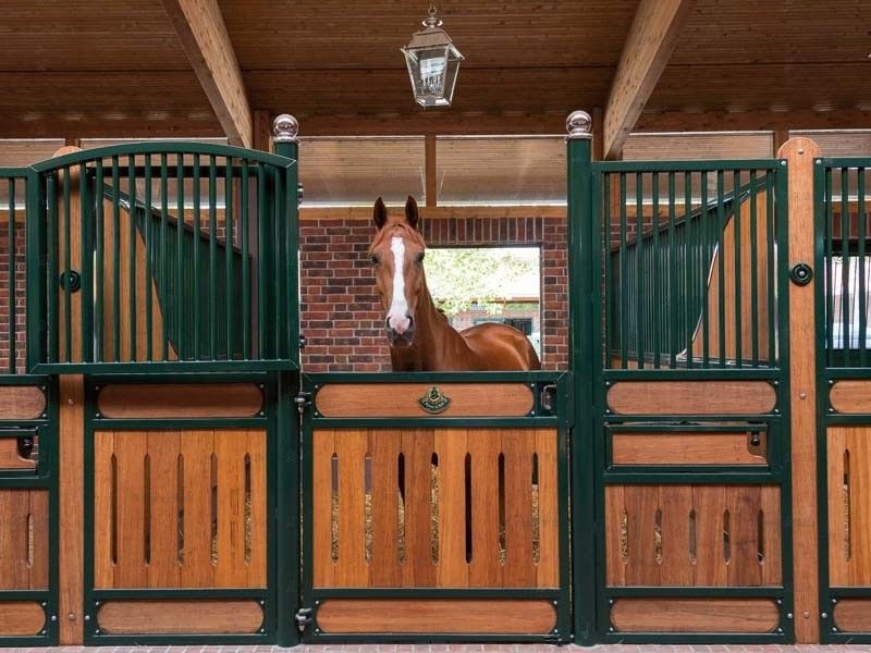 Steel Q235 Small Horse Portable Stalls With 20mm 28mm 30mm Bamboo