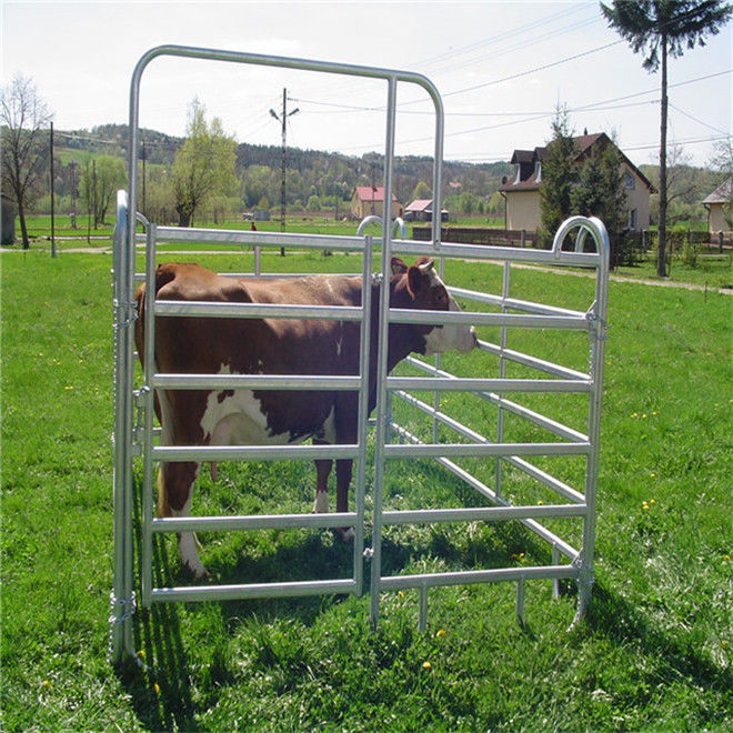 Portable Sheep Panels / Steel Cattle Fence Panels Round Pen Fence