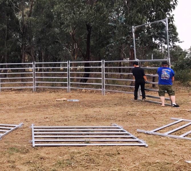 Feedlot Portable Cattle Yard Panels High Strength Easily Assembled