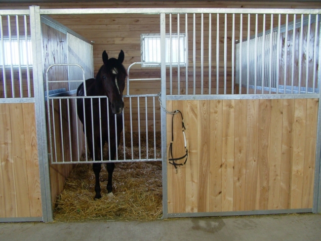 Stall Channel Classic Horse Stall Fronts With Divider Solid Back Wall U Channels ...