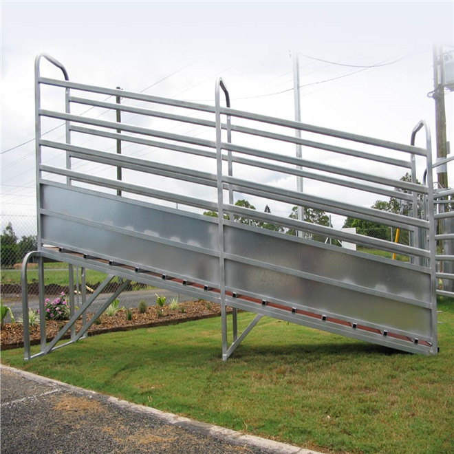 Adjustable Cattle Loading Ramp 50mm X 50mm X 2.00mm Frame 1.5m Overall