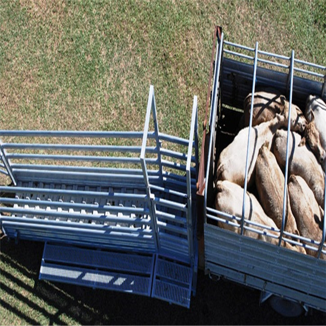 Hot Dipped Galvanized Sheep Loading Ramp Plans Livestock Handling Equipment