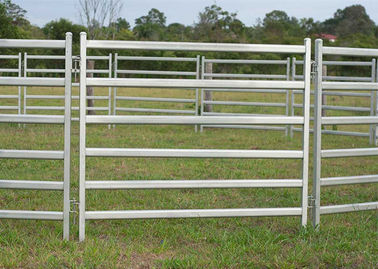Utility Horse Corral Panels And Gates Strong Carbon Steel Material