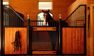 Horse Stable Front Panel with Plastic kick Panels Horse Stall