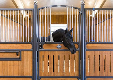 Modern Powder Coated Temporary Horse Stalls With Boarding Facilities