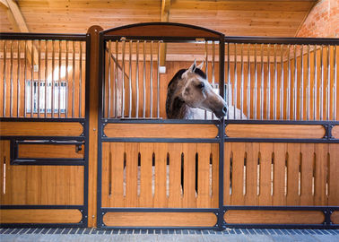 Commercial 10ft 12ft Horse Stable Box / Galvanized Horse Fence