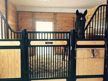 Amazing Horse Stable Partitions / Steel Horse Stalls With Single Sliding Gate