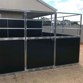 Hinged Door Model Horse Stable Equipment With Roofing 10 MM Thickness HDPE