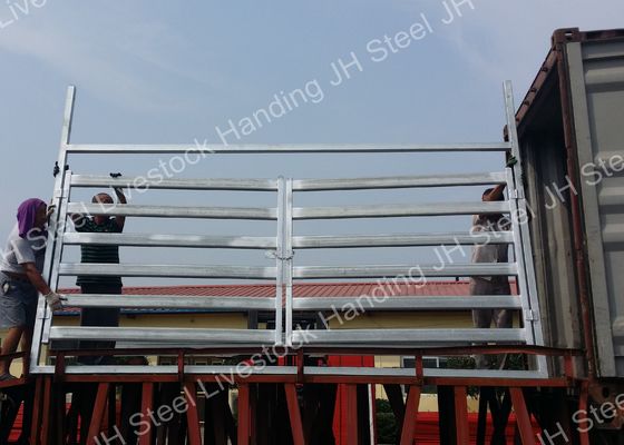 12ft By 12ft Heavy Duty Frame Horse Stall Steel Farm Gates