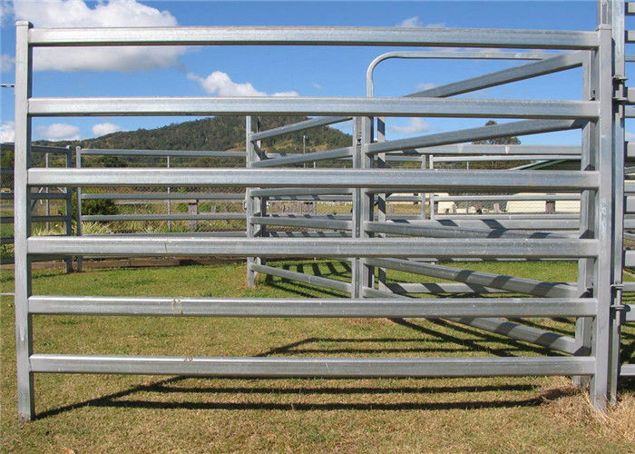 Custom Size Livestock Portable Cattle Fence Panels Square / Round
