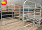 Fully Welded 2.1m Height Cattle Yard Panel Galvanized Or Powder Coating