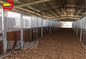 4x2.3 Horse Stall Stable Carbonized Bamboo Planks Board