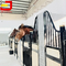 Safe Steel Structure Prefabricated Horse Stable 10ft 12ft 14ft Black Powder Coated