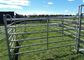 Light Duty Cattle Yard Panels With Round Pens Pole Pipe Shape Optional