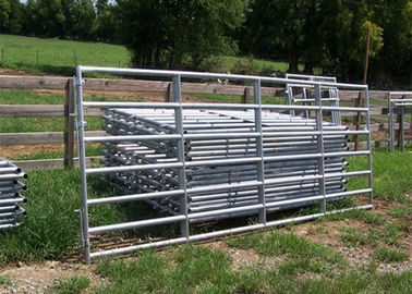 Power Coating Steel Farm Gates 3.0mm - 5.0mm Wire Diameter 25NB Pipe Frame