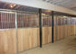 10x10m / 12x12m Steel Horse Stalls , Open Equine Stall Fronts With Wooden Kits