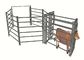 Feedlot Portable Cattle Yard Panels High Strength Easily Assembled