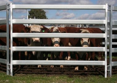 High Strength Cattle Yard Panels Excellent Water / Dust Resistance