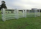 Galvanized Pipe Fence Panels , High Safety Livestock Metal Fence Panels