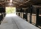 Custom Luxury Bamboo European Horse Stalls In Coating Surface Treatment