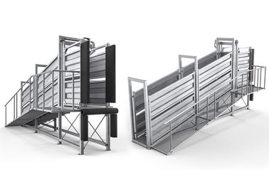 Standard Outdoor Livestock Loading Ramp , 4.7m Deluxe Portable Sheep Ramp