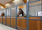 Galvanized Metal Material European Horse Stalls Enduring 12ft Height