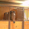 Bamboo Board Metal Horse Fence Stable Panel With Durable Sliding Door