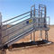 3.2 M Fixed Cattle Loading Ramp Portable Cattle Loading Ramp For Sheep Goats Cattle