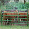 Portable Sheep Panels / Steel Cattle Fence Panels Round Pen Fence Corral Panels