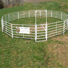 Galvanized Welded Pipe Heavy Duty Cattle Panels Cattle / Corral Panels For Horse