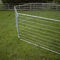Powder Coated Metal Livestock Fence Panels Farm Cattle Rail Double Gate