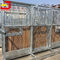 Portal Frame Horse Stall Fronts Hot Galvanized Steel Structure With Bamboo Wood