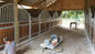 horse stall horse barn bamboo wood cost designs plans kits for sale