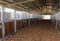 Sliding Door Temporary Prefabricated Horse Stall Fronts 3.65x3.65m