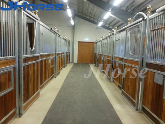 Powder Coated Euro Horse Stalls Panels 4.2m Or Customized