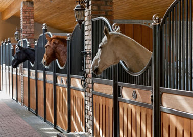 Interior Solid Back European Horse Stalls 12 Feet Length 220cm Height